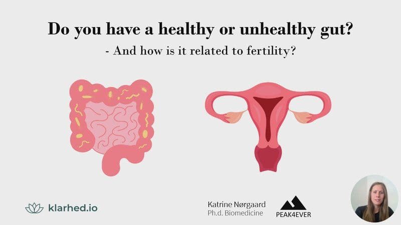 How Does an Unhealthy Gut Affect Fertility?