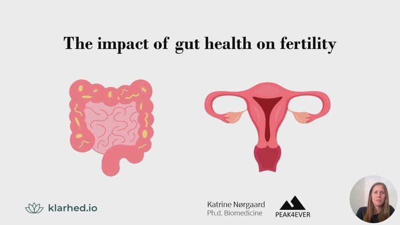The Impact of Gut Health on Fertility