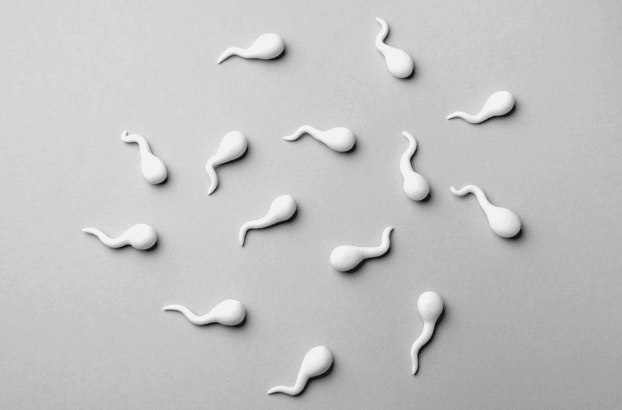 Male Infertility: The Missing Piece in the Fertility Puzzle