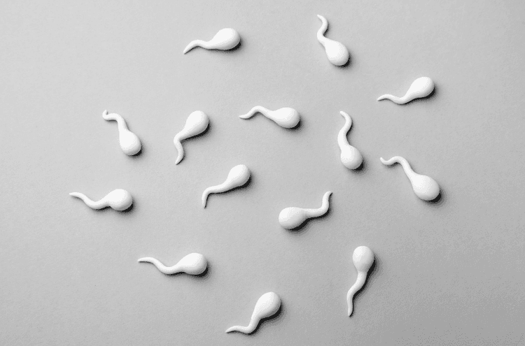 Male Infertility: The Missing Piece in the Fertility Puzzle