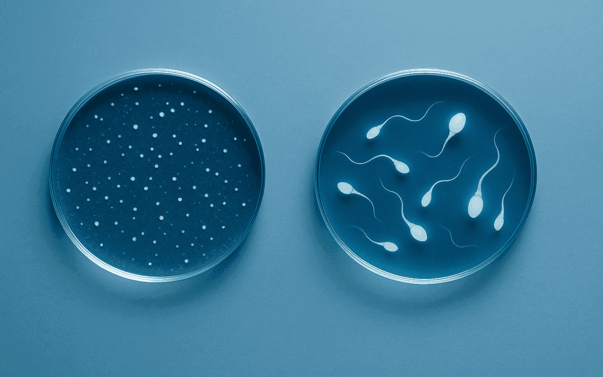 Sperm Quality vs Quantity: Male Fertility Explained