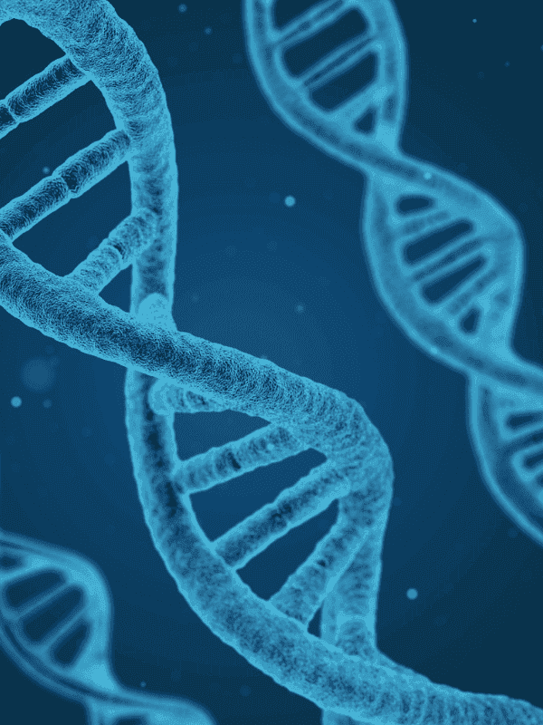 Paquete Nutrigenómica - Descubre tu código genético para una fertilidad óptima