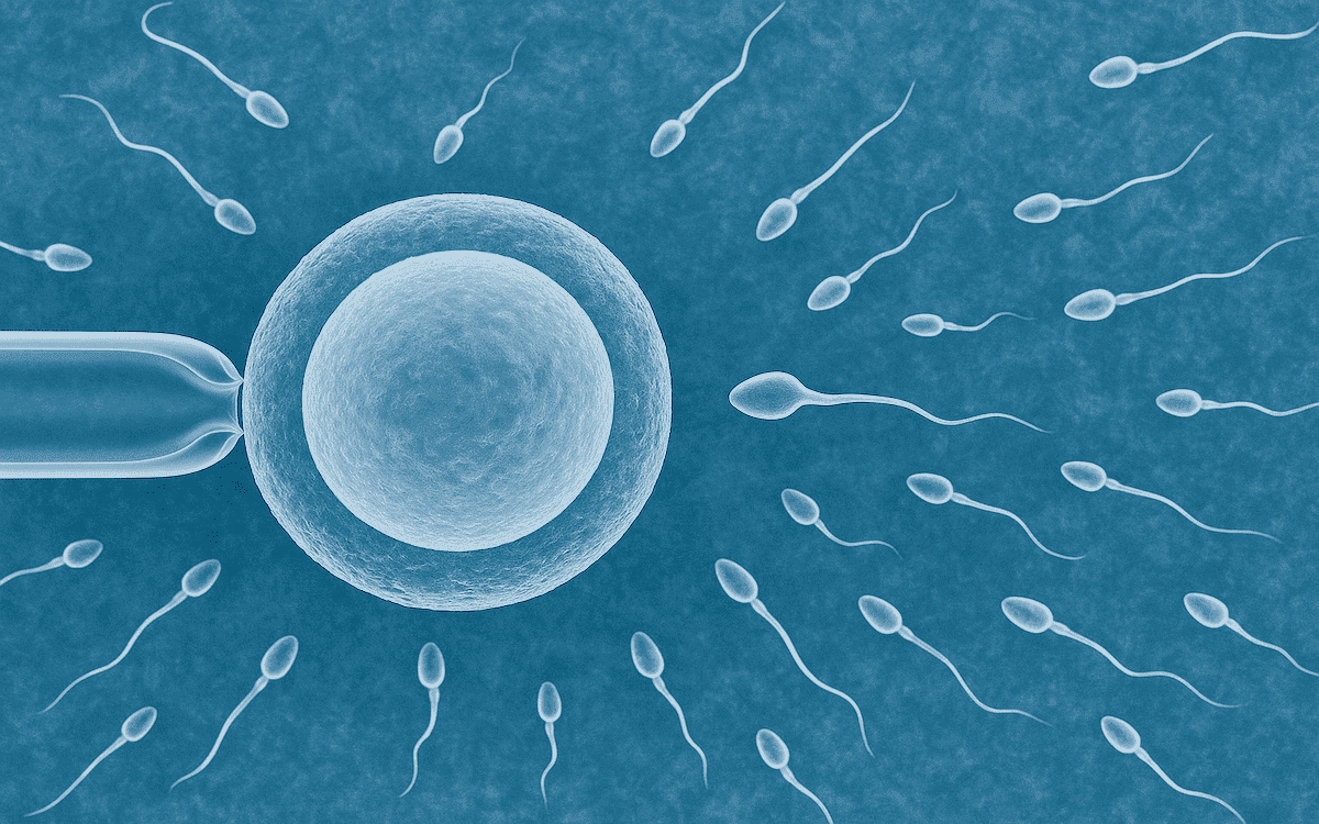 IVF Fertilization Failure: The Hidden Sperm Factors Behind It