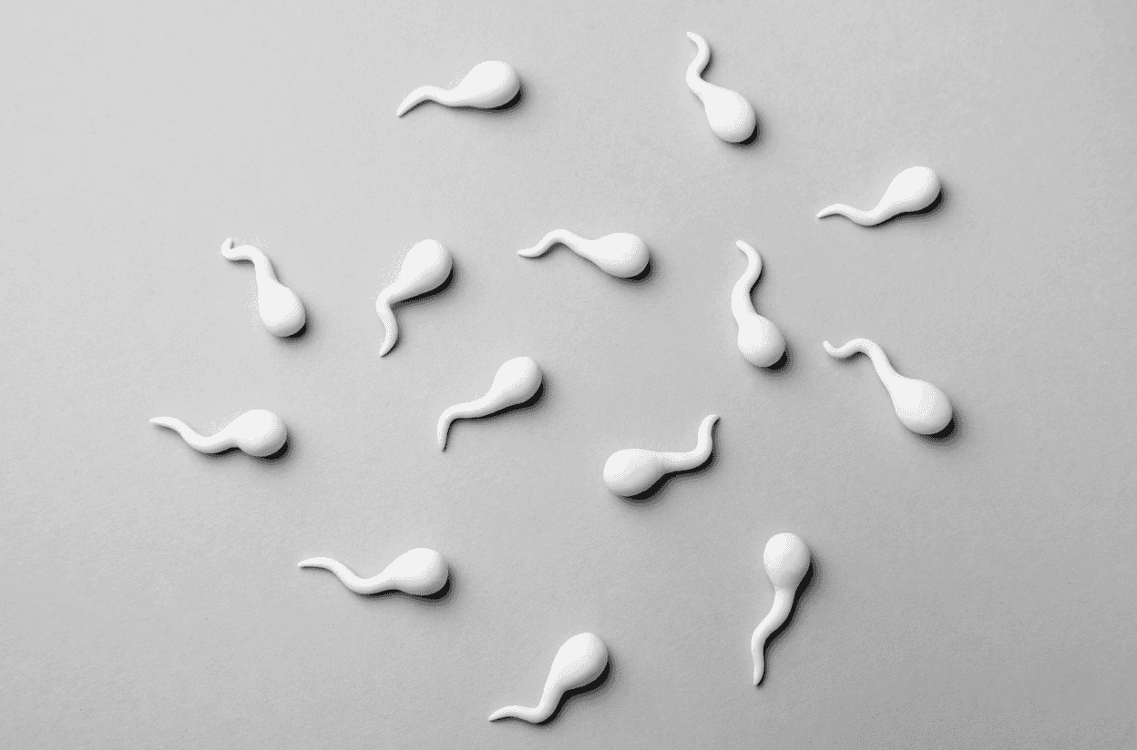 Male Infertility: The Missing Piece in the Fertility Puzzle