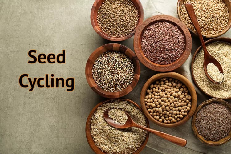 Everything You Need To Know About Seed Cycling