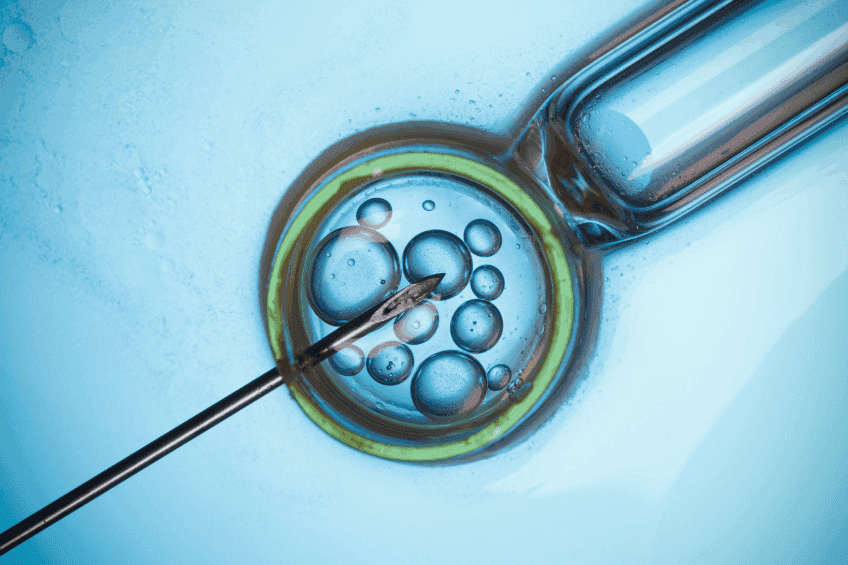La FIV y el microbioma vaginal