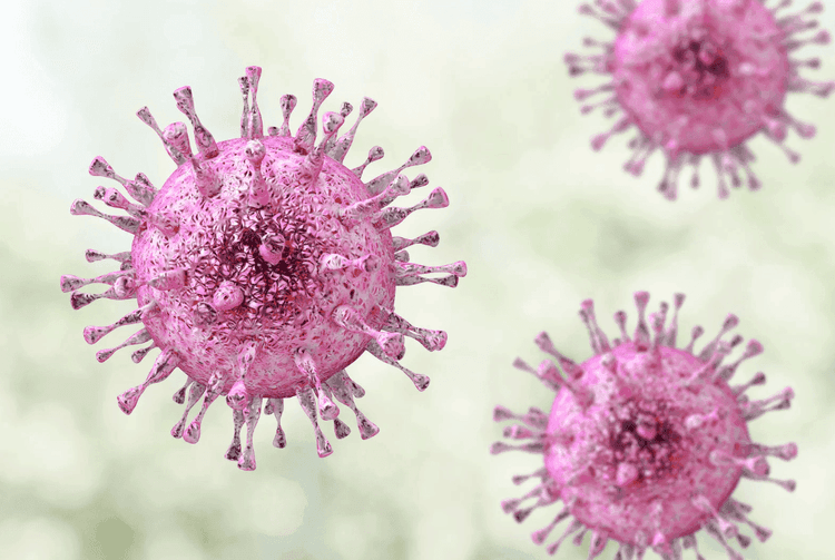 Mikrobers betydning for graviditet