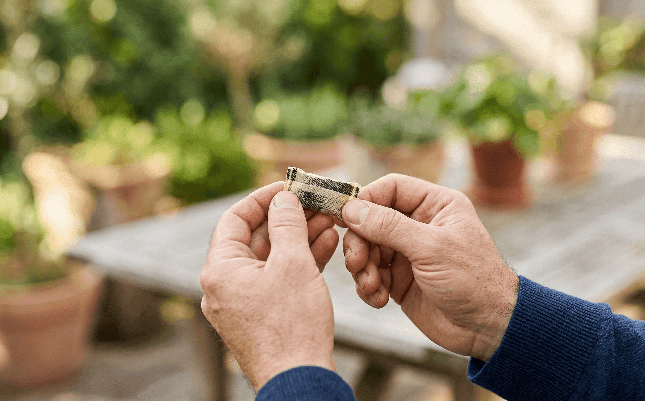 Nicotine and Male Fertility: What Snus and Pouches Do to Sperm